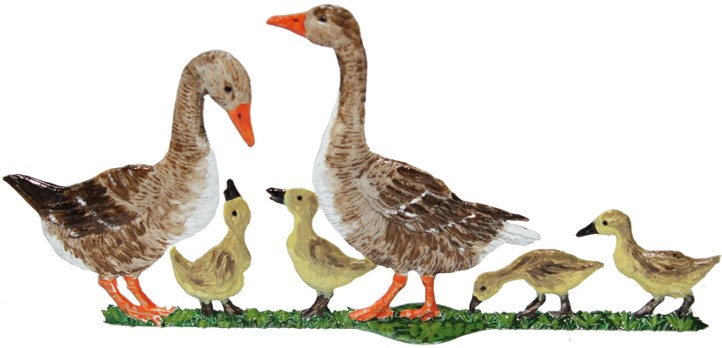 The Goose Family o1